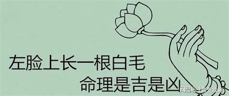 臉上白毛|【生白毛】露白毛是吉是兇？「臉上或身體長出白毛」究竟代表什。